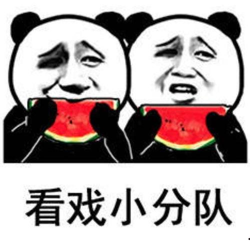 娱乐圈吃瓜表情包微博